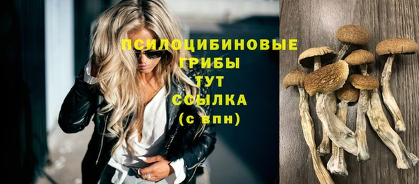 спайс Лихославль
