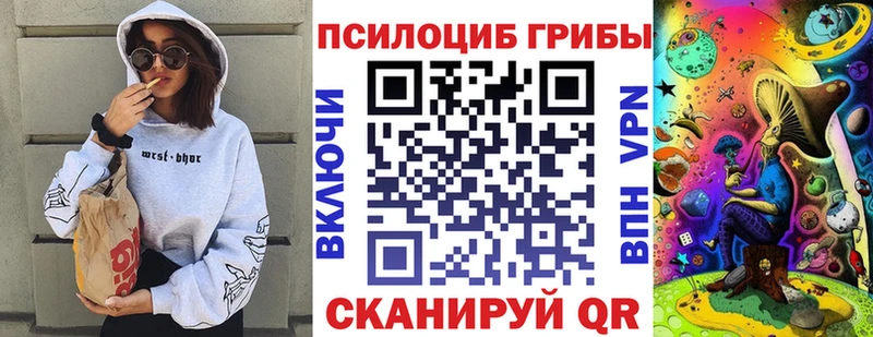 купить закладку  Чистополь  Псилоцибиновые грибы Psilocybe 