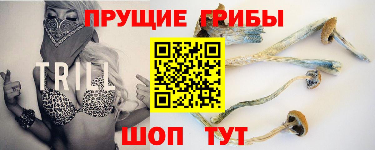Псилоцибиновые грибы прущие грибы Чистополь