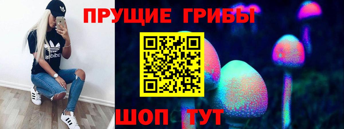 Чистополь  Псилоцибиновые грибы Magic Shrooms  продажа наркотиков  Вход с VPN 