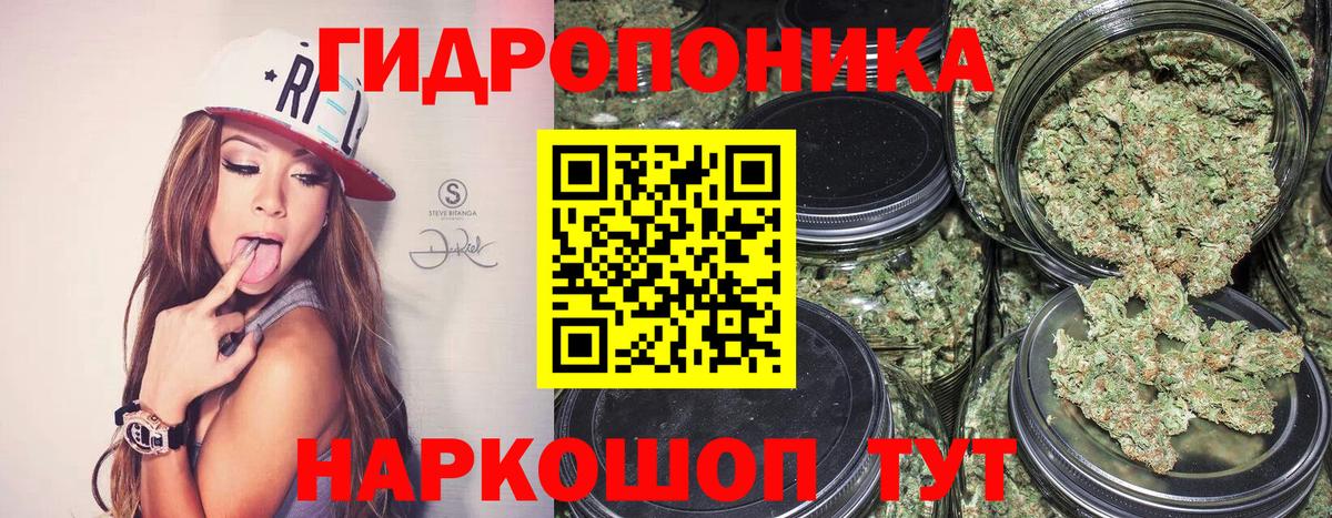 Шишки марихуана гибрид Чистополь